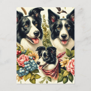 Vintage Grenz-Collie-Illustration Postkarte