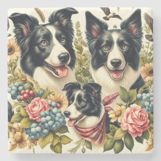 Vintage Grenz-Collie-Illustration Steinuntersetzer (Vorderseite)