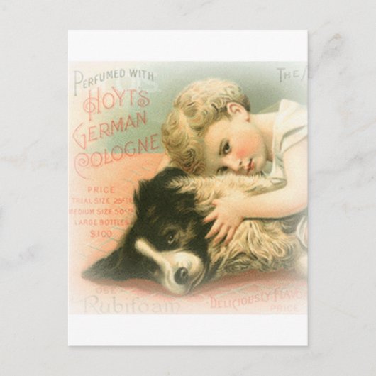 Vintage Grenz-Collie-Postkarte Postkarte (Vorderseite)