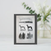 Vintage Greyhound News Postkarte (Stehend Vorderseite)