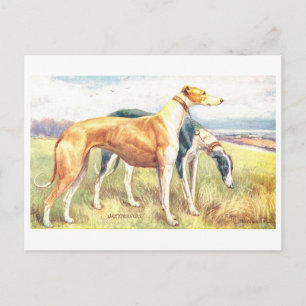 Vintage Greyhound Postkarte