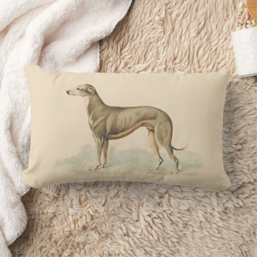 Vintage Greyhound Whippet Print Lendenkissen (Decke)