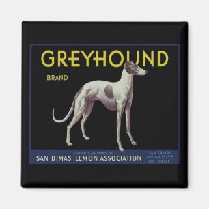 Vintage Greyhound Zitronenetikett um 1920 Magnet