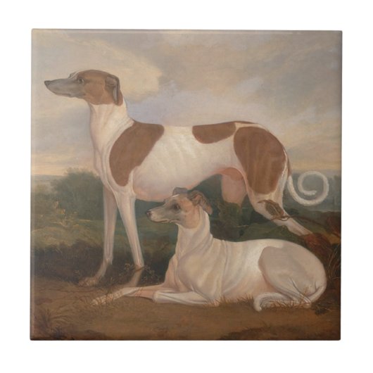 Vintage-Greyhounds Fliese (Vorderseite)