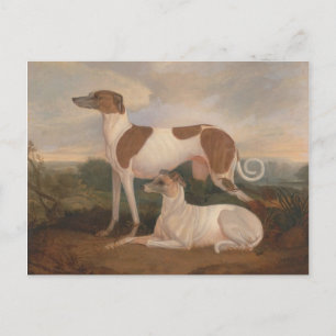 Vintage-Greyhounds Postkarte
