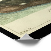 Vintage Grönlandwal-Printwerbung Poster (Ecke)