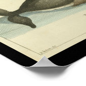 Vintage Grönlandwal-Printwerbung Poster (Ecke)