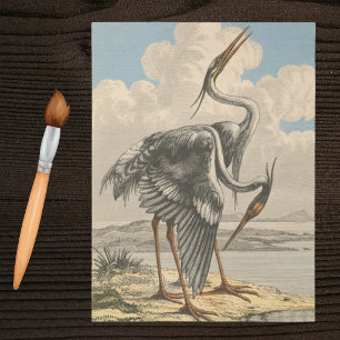 Vintage Großer Blau Reiher Dramatische Ornithologi Seidenpapier