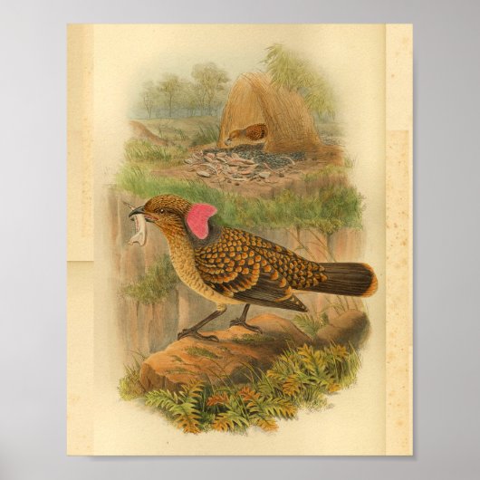 Vintage Großfrittiermaschine Bird Brown Poster (Vorne)