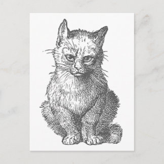 Vintage Grumpy Cat Design Postkarte
