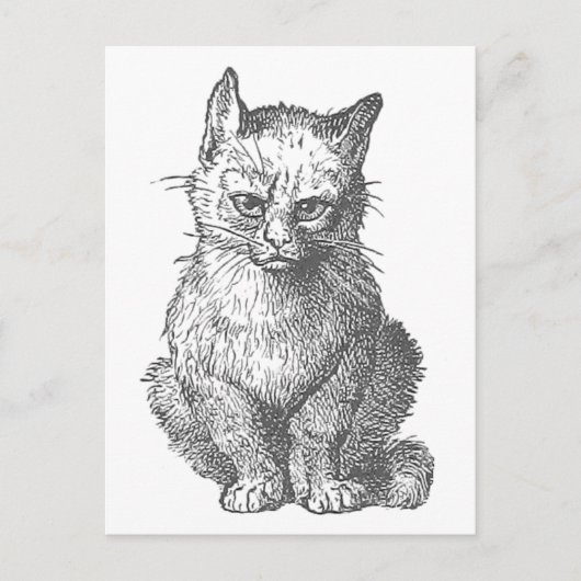Vintage Grumpy Cat Design Postkarte (Vorderseite)