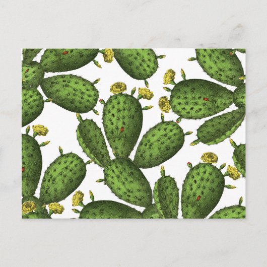 Vintage Grün Gelb Florales Kaktusmuster Postkarte (Vorderseite)
