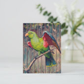 Vintage-Grün-Papageien-Druck Postkarte (Stehend Vorderseite)
