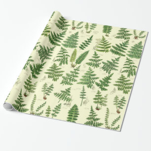 Vintage grüne Blattpflanzen Geschenkpapier