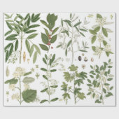 Vintage grüne Pflanze Geschenkpapier (Flach)