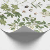 Vintage grüne Pflanze Geschenkpapier (Ecke)