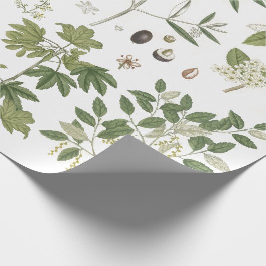 Vintage grüne Pflanze Geschenkpapier (Ecke)