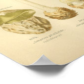 Vintage grüne Pilze Kunst drucken Französisch Poster (Ecke)