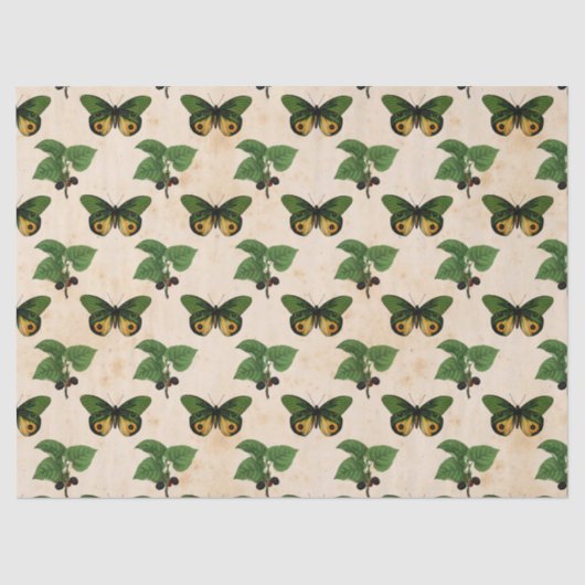 Vintage grüne Schmetterlinge Seidenpapier (Vorderseite)