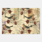 Vintage Grüne Vögel und Kiefernzapfen Geschenkpapier Set (Vorderseite 3)