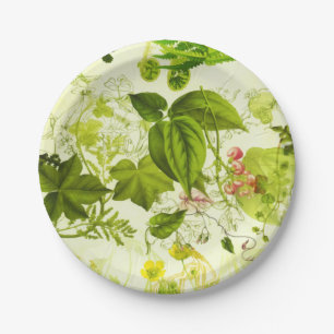 Vintage Grünflächen Botanische Wildblumen Wasser Pappteller