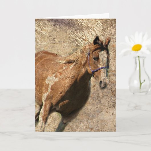 Vintage Grunge-Jede Anlässe Karte (Kleine Pflanze)