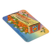 Vintage Grüße aus Florida Citrus Frucht Magnet (Rechte Seite)