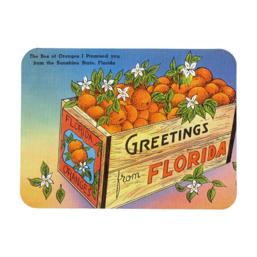 Vintage Grüße aus Florida Citrus Frucht Magnet (Horizontal)