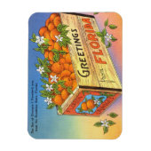 Vintage Grüße aus Florida Citrus Frucht Magnet (Vertikal)