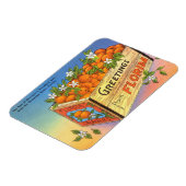 Vintage Grüße aus Florida Citrus Frucht Magnet (Linke Seite)