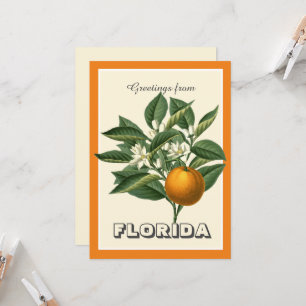 Vintage Grüße aus Florida mit Orange-Frucht