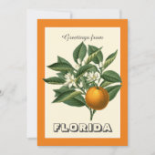 Vintage Grüße aus Florida Orange Frucht (Vorderseite)