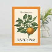 Vintage Grüße aus Florida Orange Frucht (Stehend Vorderseite)