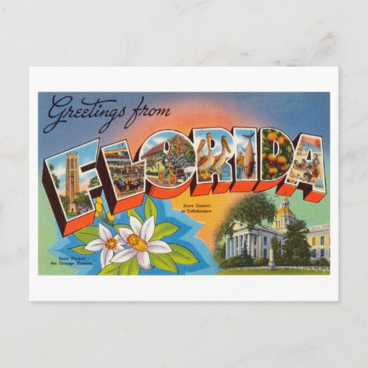 Vintage Grüße aus Florida Postkarte (Vorderseite)