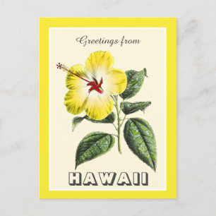 Vintage Grüße aus Hawaii Yellow Hibiskus Postkarte