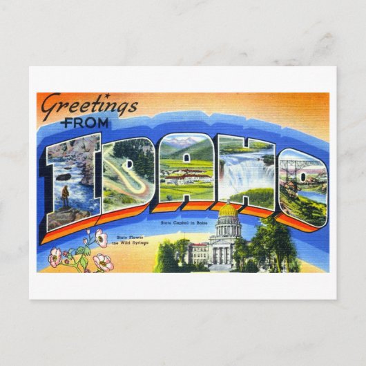 Vintage Grüße aus Idaho Postkarte (Vorderseite)