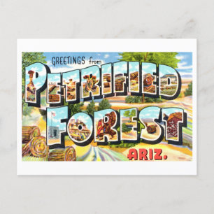 Vintage Grüße aus Petrified Forest, Arizona Postkarte