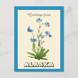 Vintage Grüße von Alaska Vergiss mich nicht Postkarte