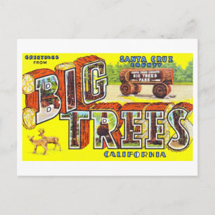 Vintage Grüße von Big Trees, Kalif, Postkarte