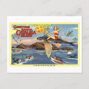 Vintage Grüße von Santa Catalina Island Postkarte