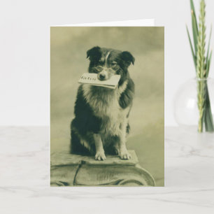 Vintage-Grußkarte mit Border Collie Karte