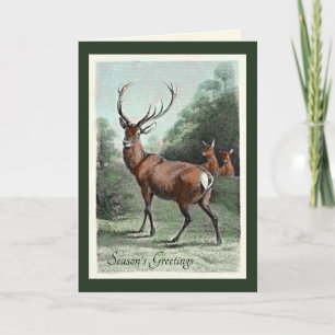 Vintage Grußkarte mit Rothirschhirsch und -kühen Karte