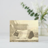 Vintage Guinea Postkarte (Stehend Vorderseite)