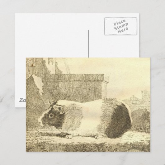 Vintage Guinea Postkarte (Vorne/Hinten)