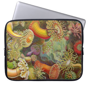 Vintage Haeckel-Anemone Laptopschutzhülle