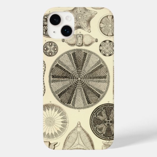 Vintage Haeckel Case-Mate iPhone Hülle (Rückseite)