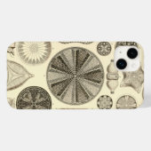 Vintage Haeckel Case-Mate iPhone Hülle (Rückseite (Horizontal))