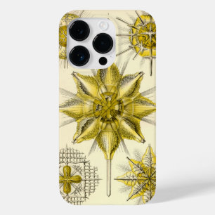 Vintage Haeckel Case-Mate iPhone 14 Pro Hülle