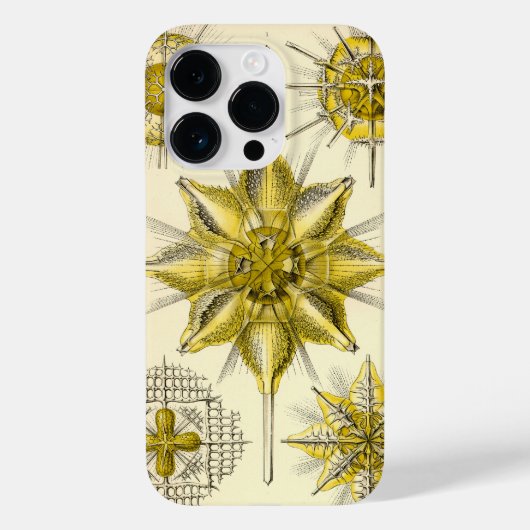 Vintage Haeckel Case-Mate iPhone Hülle (Rückseite)