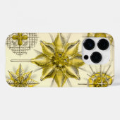 Vintage Haeckel Case-Mate iPhone Hülle (Rückseite (Horizontal))